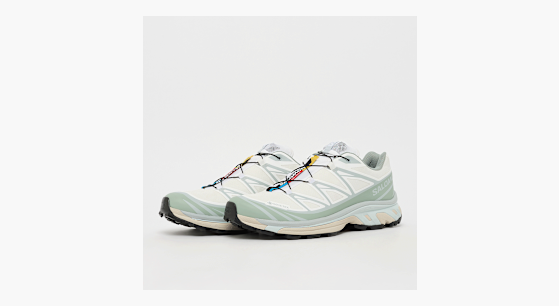 Buy Salomon XT-6 GTX in white | L47990000 | solebox
