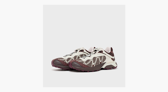 Buy Salomon Wmns XT-Whisper in brown | L49229300 | solebox