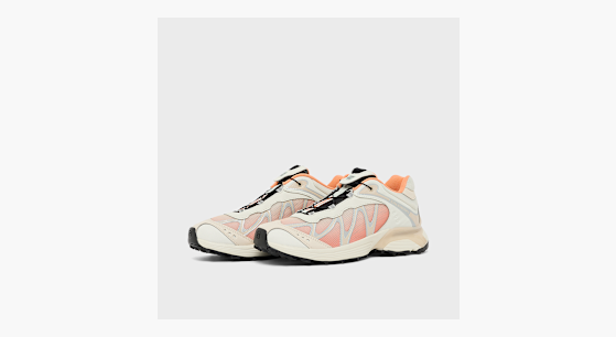 Buy Salomon Wmns XT-Whisper in beige | L49230400 | solebox