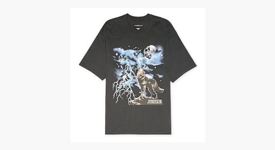 Buy Jordan Graphic T-Shirt in off noir | IQ0547-045 | solebox