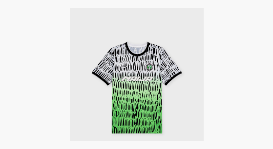 Buy Nike x Slawn Nigeria Academy Pro Pre-Match Jersey in green