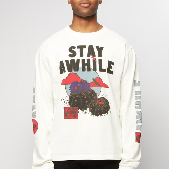 Phipps Star Cactus T white 61135 2