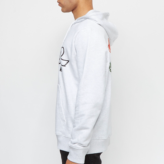 Reebok RBK SF Graphic Hood grijs 75288 3