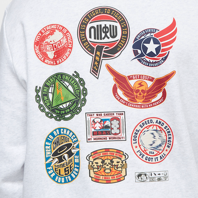 Reebok RBK SF Graphic Hood grau 75288 6