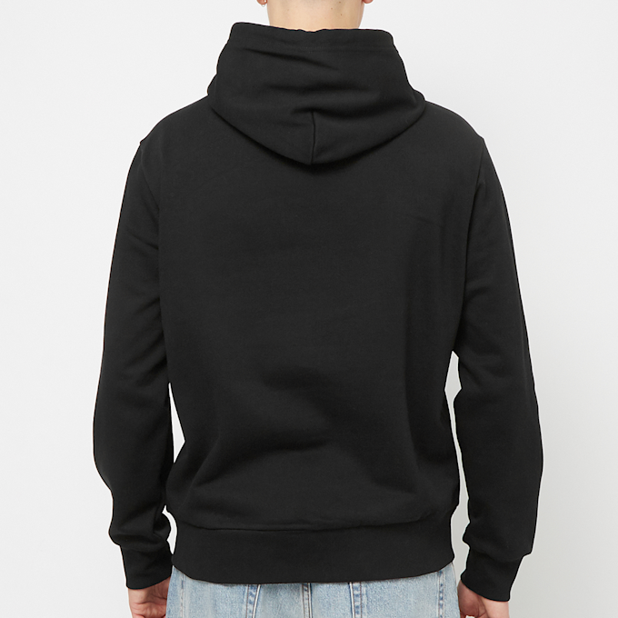 Polo Ralph Lauren Hoodie black 89966 4