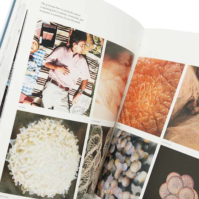 Taschen Basic Art Series: Eames multicolor 91038 4