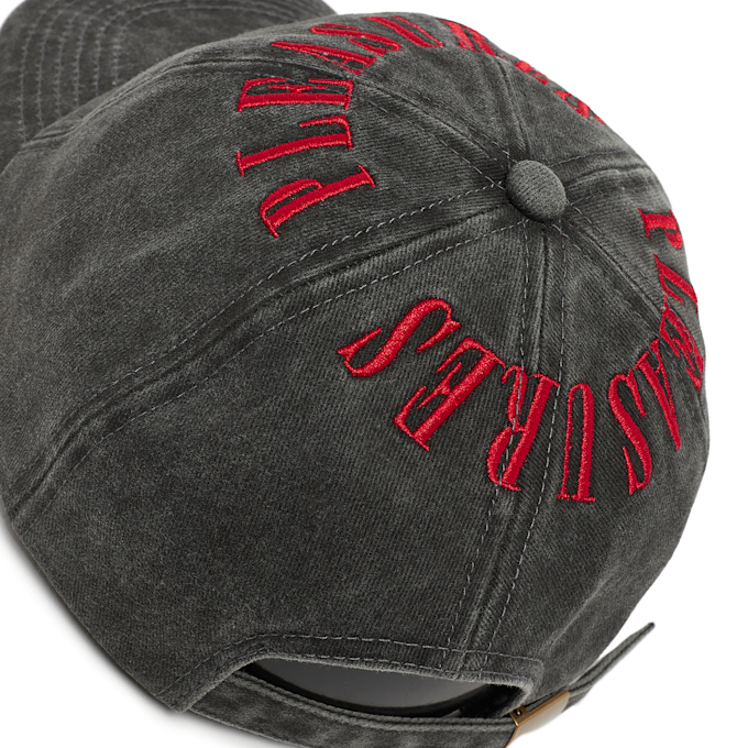 Pleasures Onyx Crown Washed Cap grau 91117 3