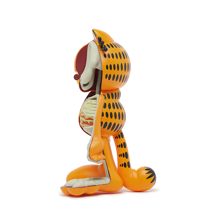 MightyJaxx XXRAY Plus Garfield oranje 87706 2
