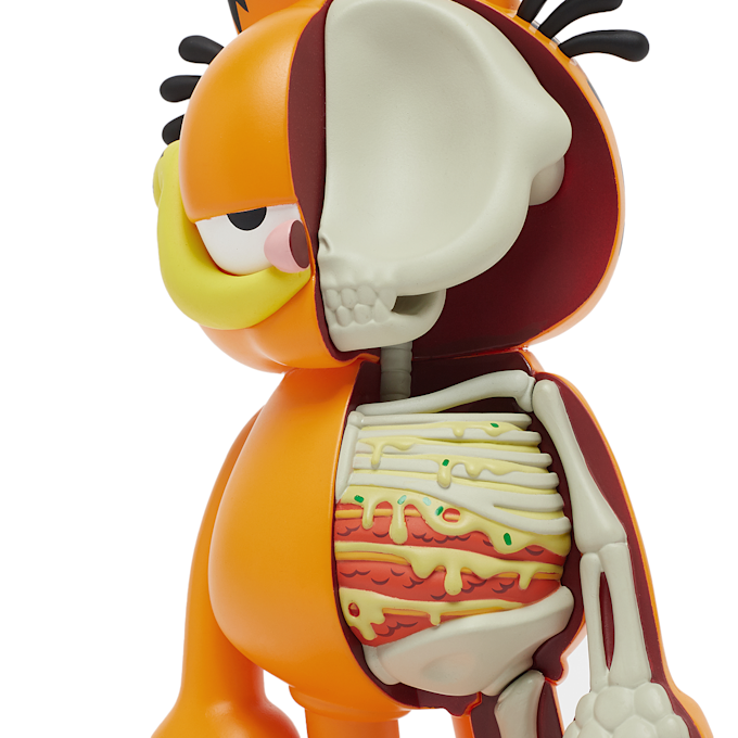 MightyJaxx XXRAY Plus Garfield orange 87706 4