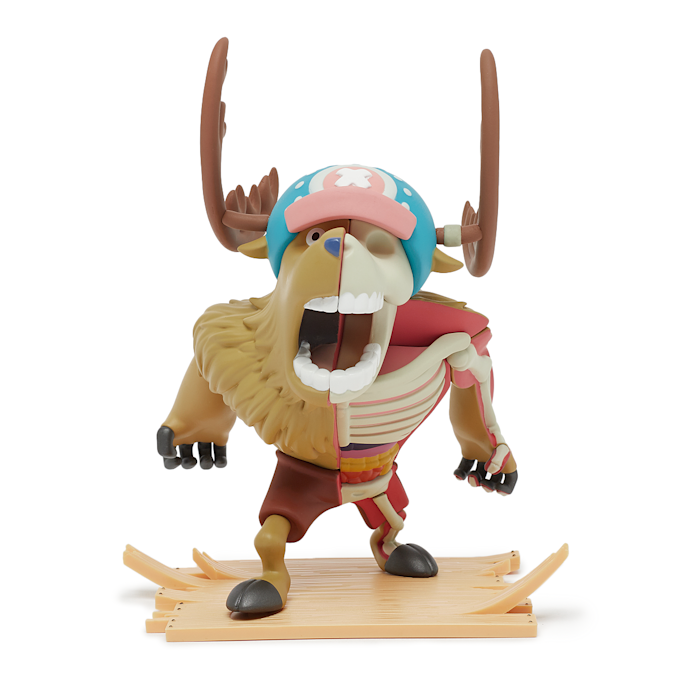 MightyJaxx XXRAY Plus Monster Point multi-colour 90408 1