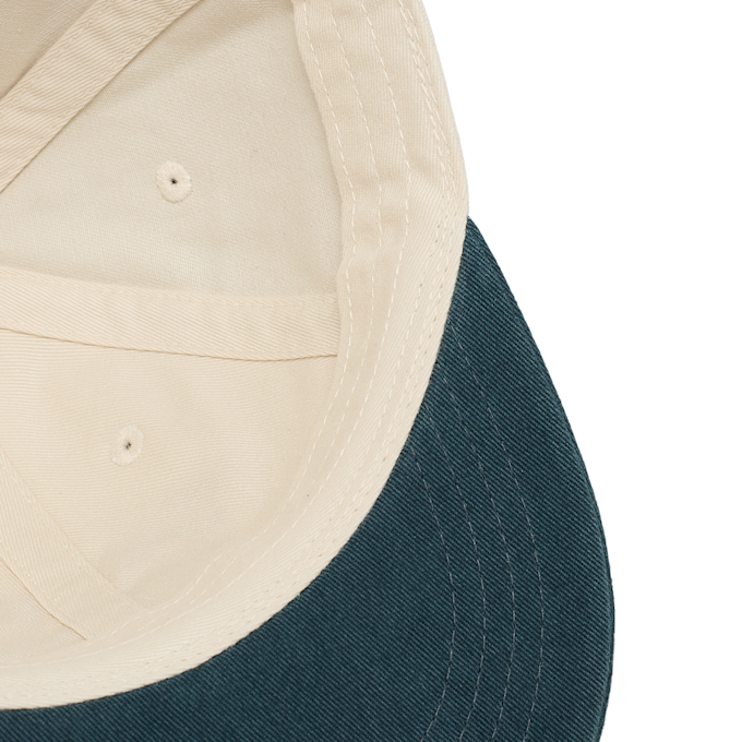 Carhartt WIP Alston Cap beige 89521 3