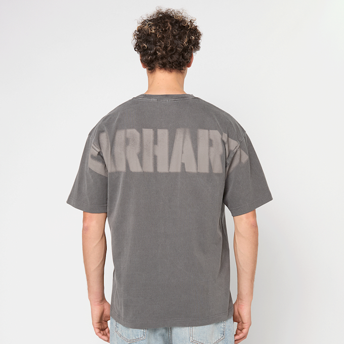Carhartt WIP RGGD T-Shirt grey 91508 4
