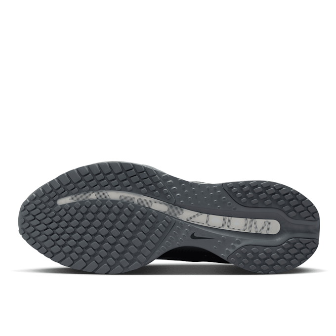 Nike   Pegasus Premium grijs 94311 6