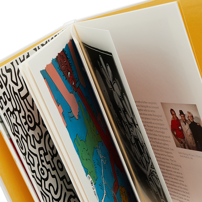Taschen Basic Art Series: Keith Haring multi-colour 90602 6
