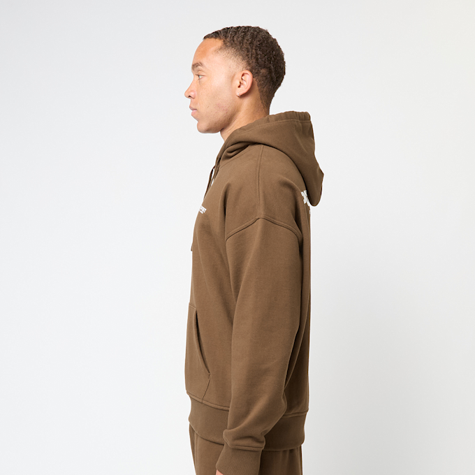 Polo Ralph Lauren Longsleeve Hoodie braun 91376 3