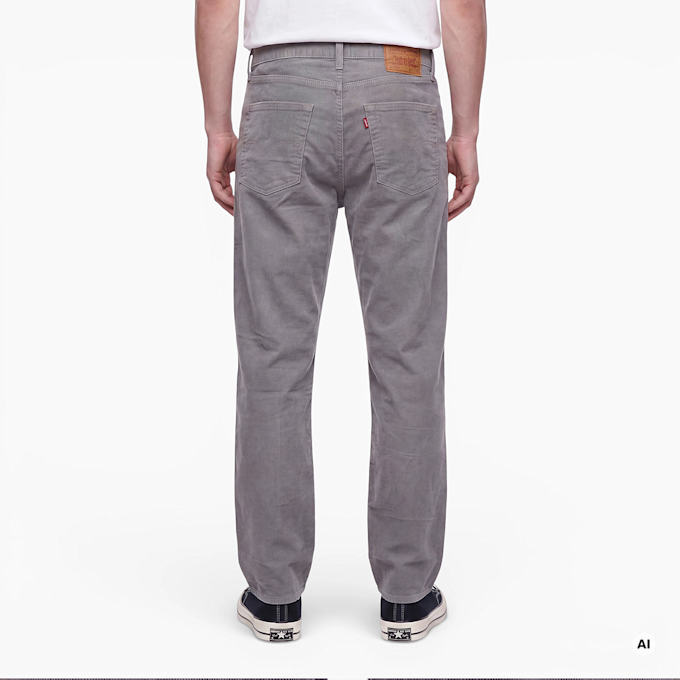 Levi's Red Tab 578 Fine Corduroy Pant multi-colour 105995 3