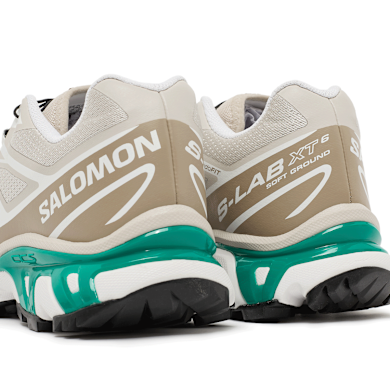 Buy Salomon XT-6 in rainy day/chinchilla/dynasty green | L47864300