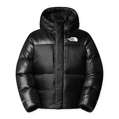 Buy The North Face Pertex Down Jacket in black | NF0A8DQBJK31