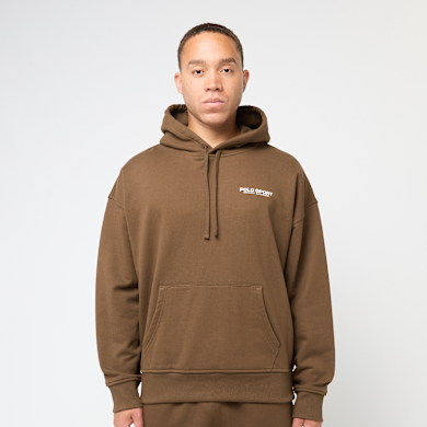 Buy Polo Ralph Lauren Longsleeve Hoodie in brown | 710P00819003
