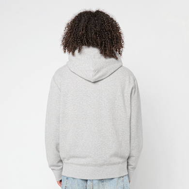 Buy Polo Ralph Lauren Longsleeve Zip Hoodie in grijs