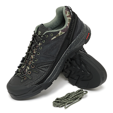 Buy Salomon x Carhartt WIP X-ALP in black/black/black | L49165500