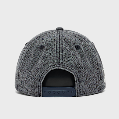 Buy New Era 1920 Classic 28488 in grey | 60800504 | solebox