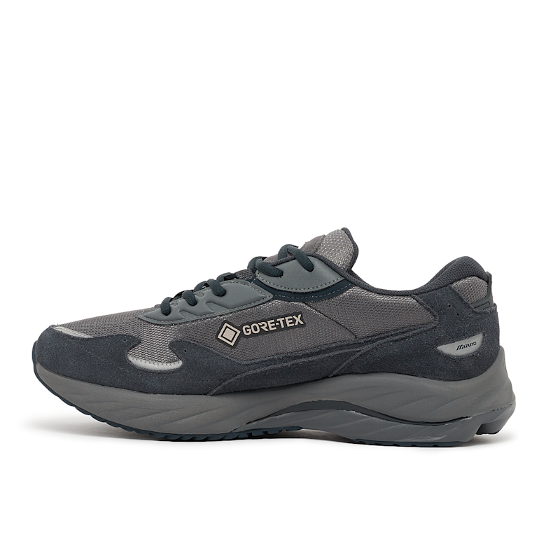 Buy Mizuno Wave Rider Βeta GTX in grey | D1GA245202 at solebox