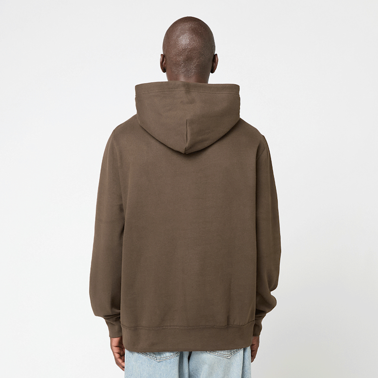 Buy Polo Ralph Lauren Longsleeve Hoodie in brown | 710766778108