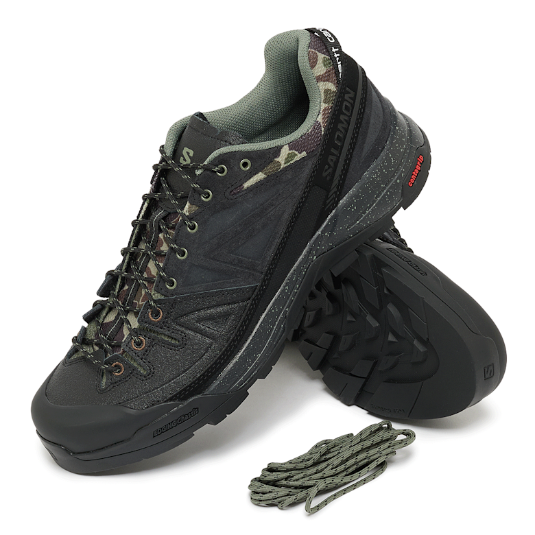Buy Salomon x Carhartt WIP X-ALP in black | L49165500 | solebox