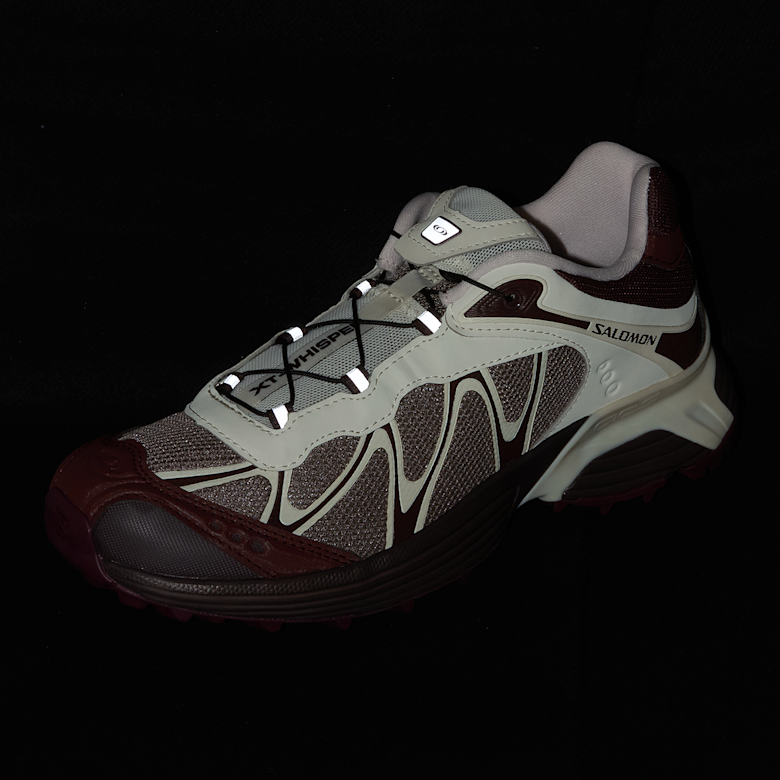 Buy Salomon Wmns XT-Whisper in walnut/bitter chocolate/vanilla ice