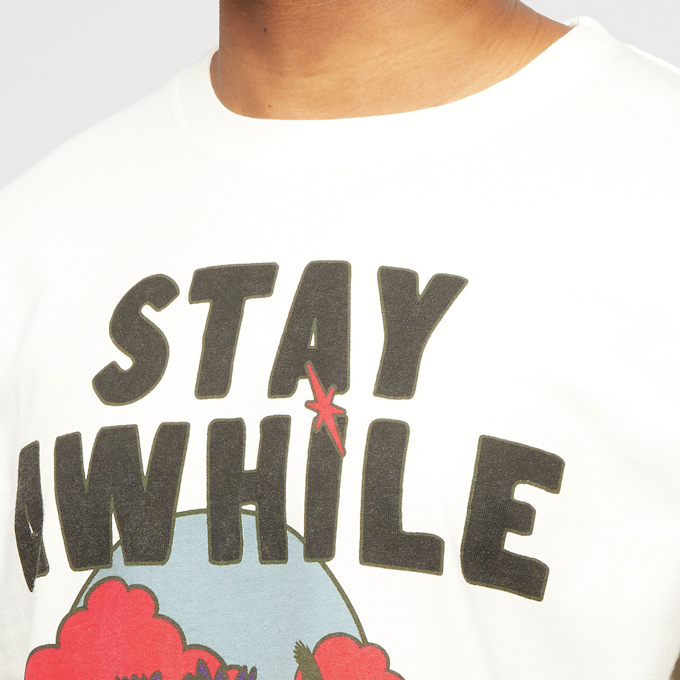 Phipps Star Cactus T blanc 61135 5