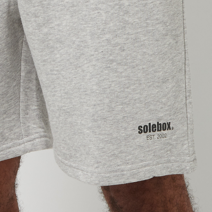 solebox EST. 2002 Shorts grey 75922 6