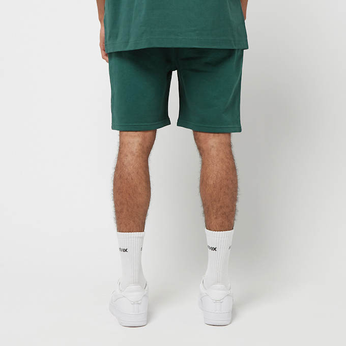 solebox EST. 2002 Shorts groen 75924 4