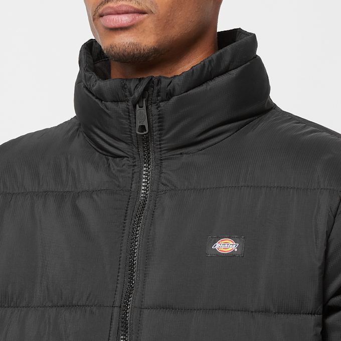 Dickies Waldenburg schwarz 80716 4
