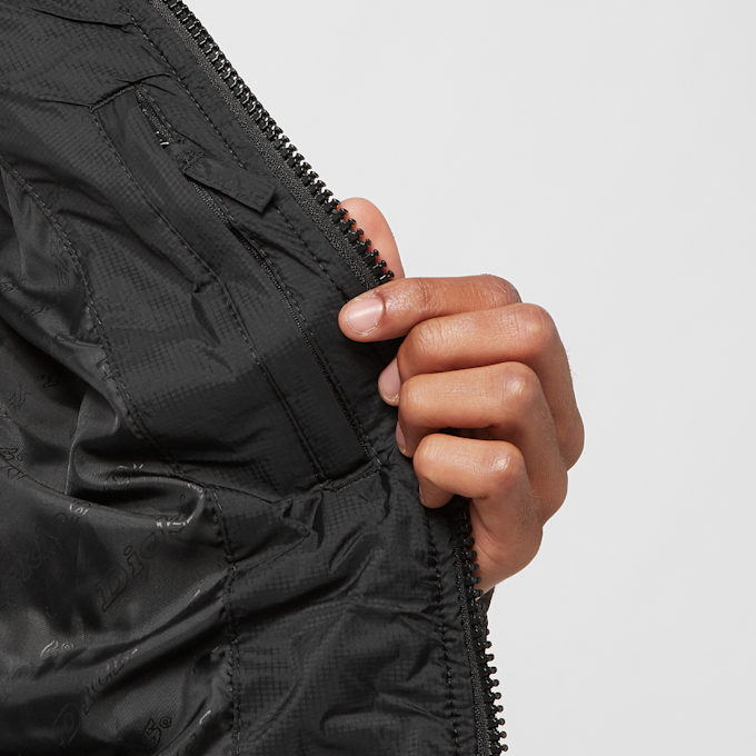 Dickies Waldenburg schwarz 80716 5