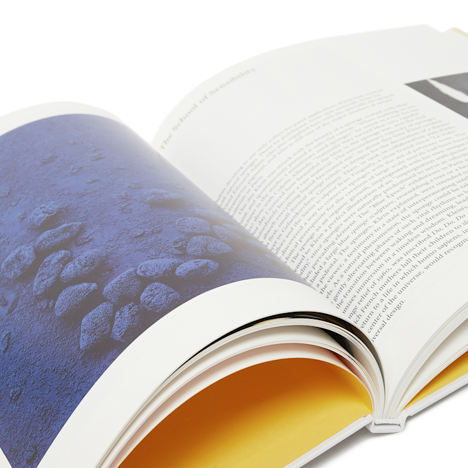 Taschen Basic Art Series: Yves Klein multicolor 86088 4