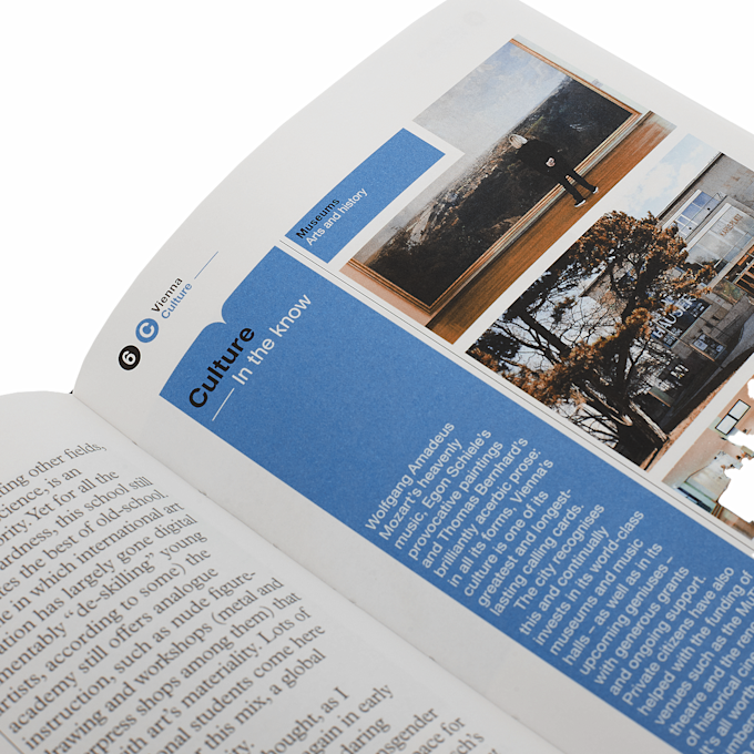 GESTALTEN Verlag&nbsp; Vienna - The Monocle Travel Guide Series multicolore 88196 3