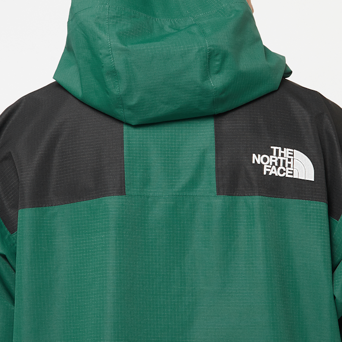 The North Face DryVent Mono Mountain Jacket green 86347 6