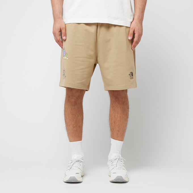 The North Face Mountain Cleanup Relaxed Shorts beige 89841 2