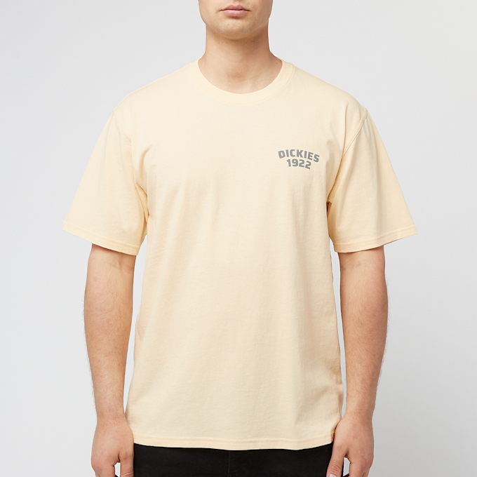 Dickies Mechanic SS Tee geel 87763 2