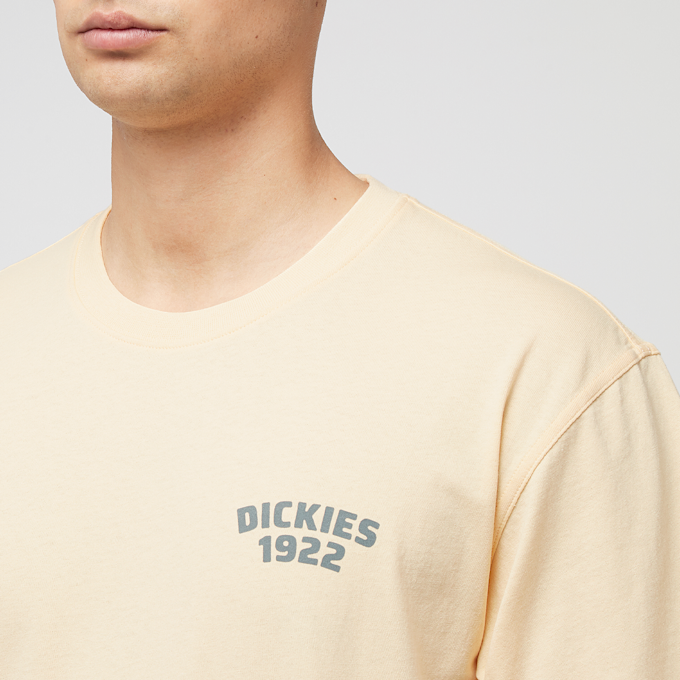 Dickies Mechanic SS Tee yellow 87763 5
