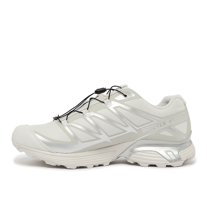 Salomon XT-Pathway GTX gris 85729 3