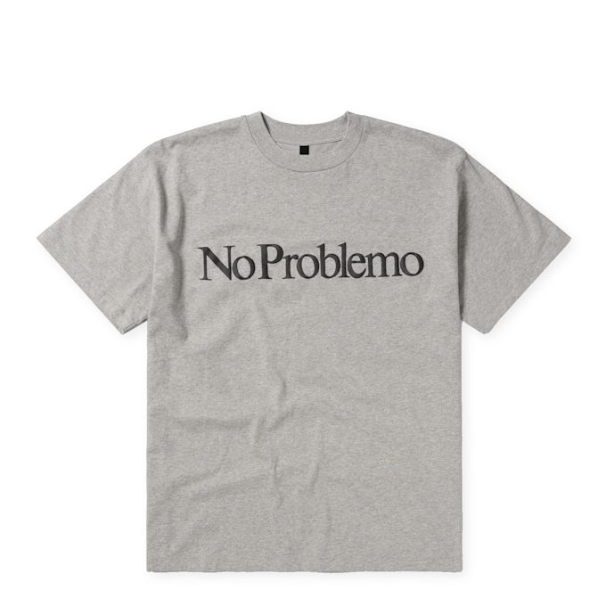 No Problemo No Problemo SS Tee grijs 91415 1