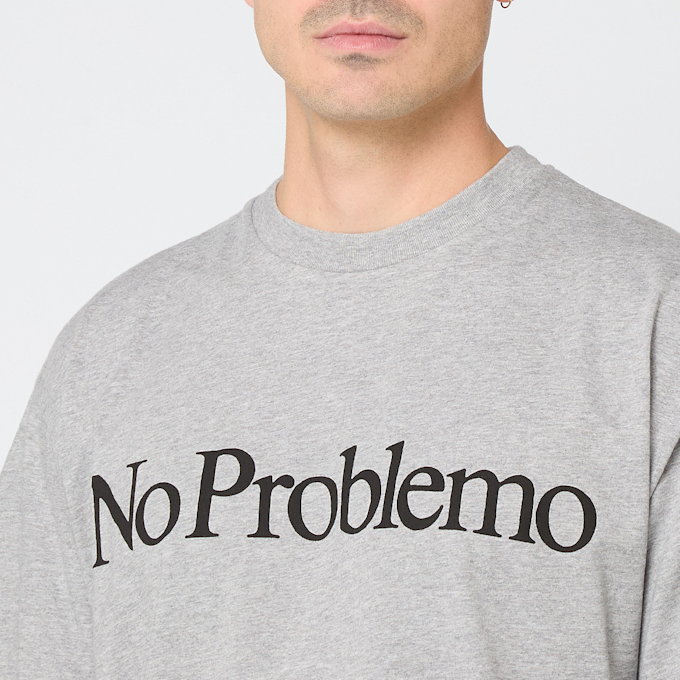 No Problemo No Problemo SS Tee grau 91415 5