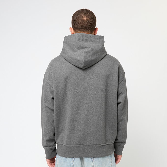 Polo Ralph Lauren Longsleeve Hoodie gris 91378 4