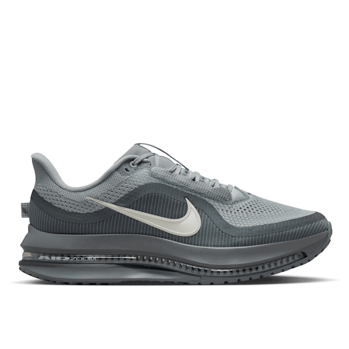 Nike   Pegasus Premium grey 94311 2