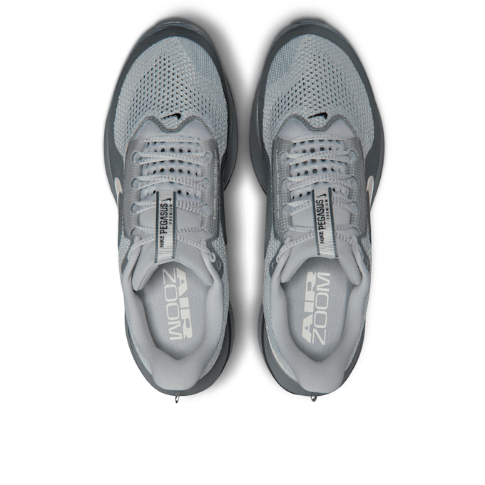 Nike Pegasus Premium grau 94311 4