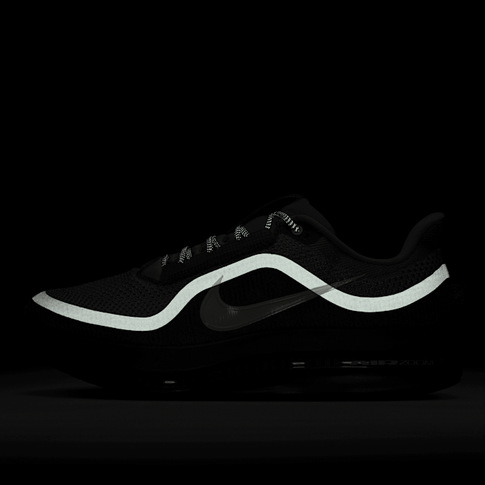 Nike Pegasus PRM grijs 94311 9