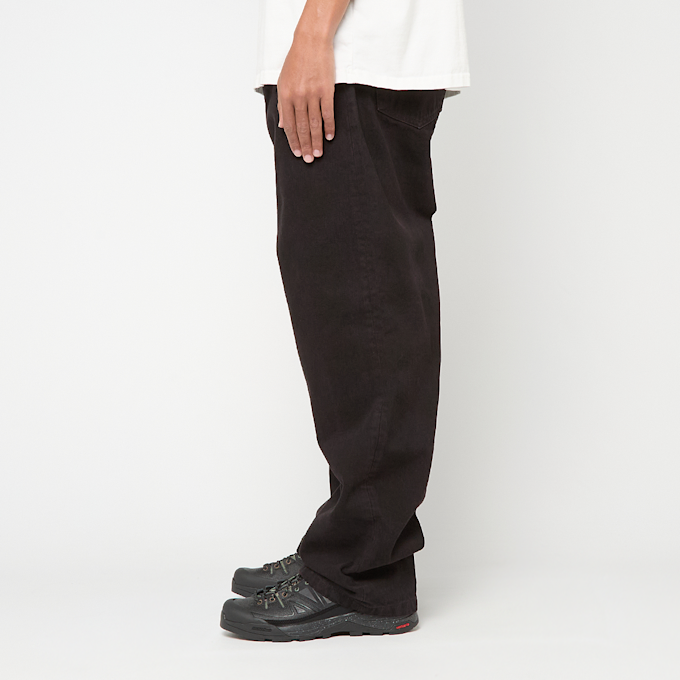 Carhartt WIP Everson Pant lila 98946 3