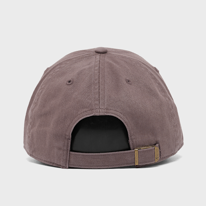 Oakley Remix Dad Hat brown 102404 2